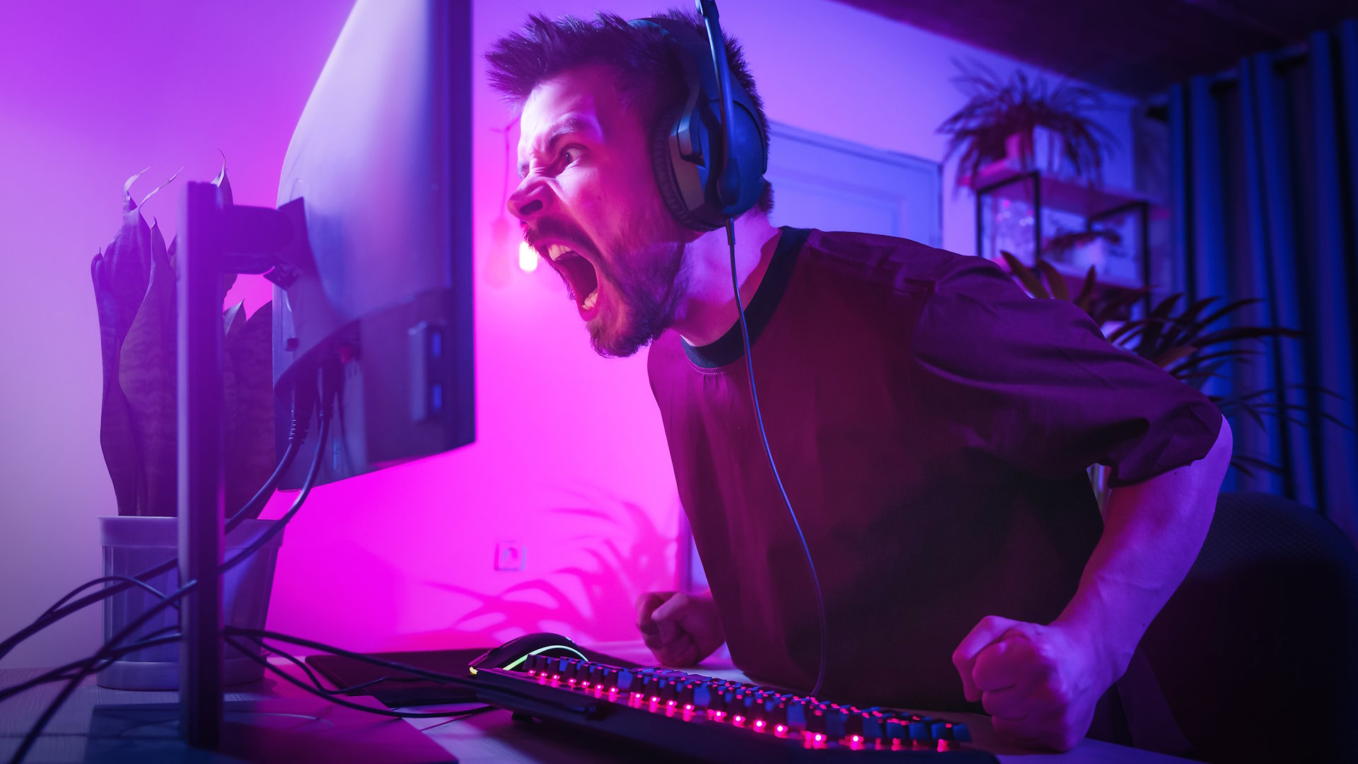 They will call your mother names and tell you to kill yourself, and then they will go to sleep soundly