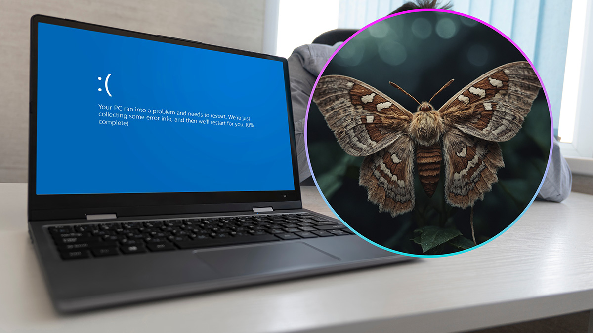 Dlaczego na błąd mówimy "bug"? To zabawna historia