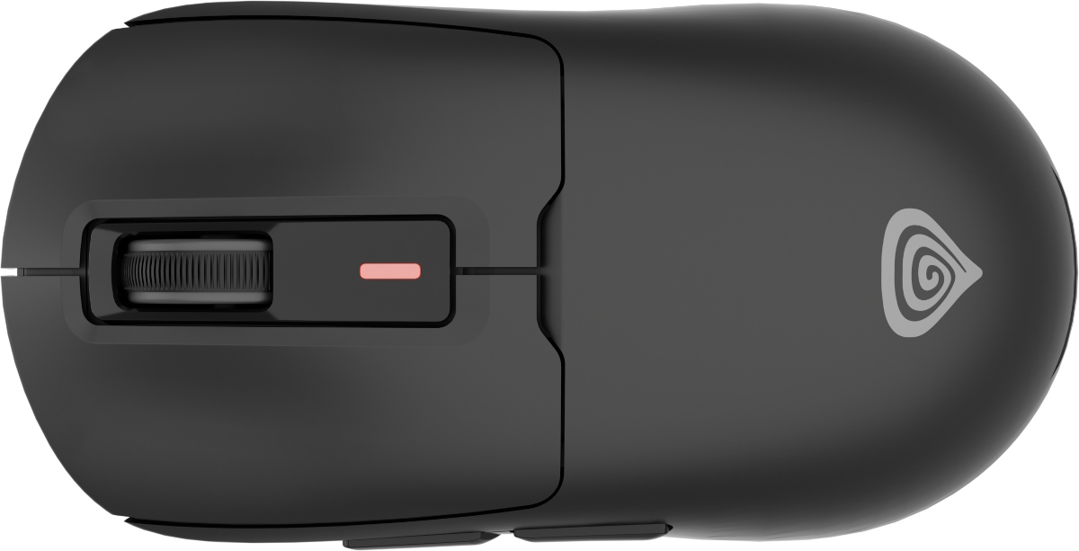 Poles have prepared a light and comfortable mouse at a good price