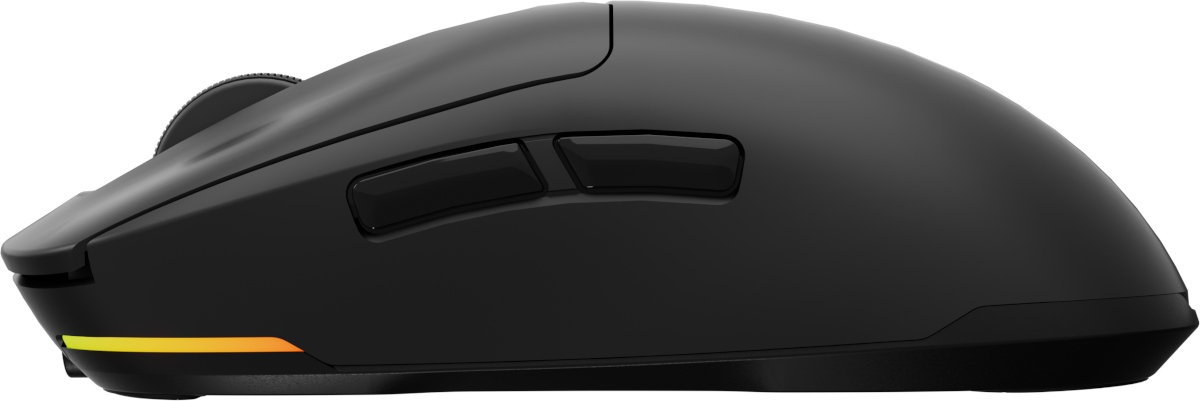 Poles have prepared a light and comfortable mouse at a good price