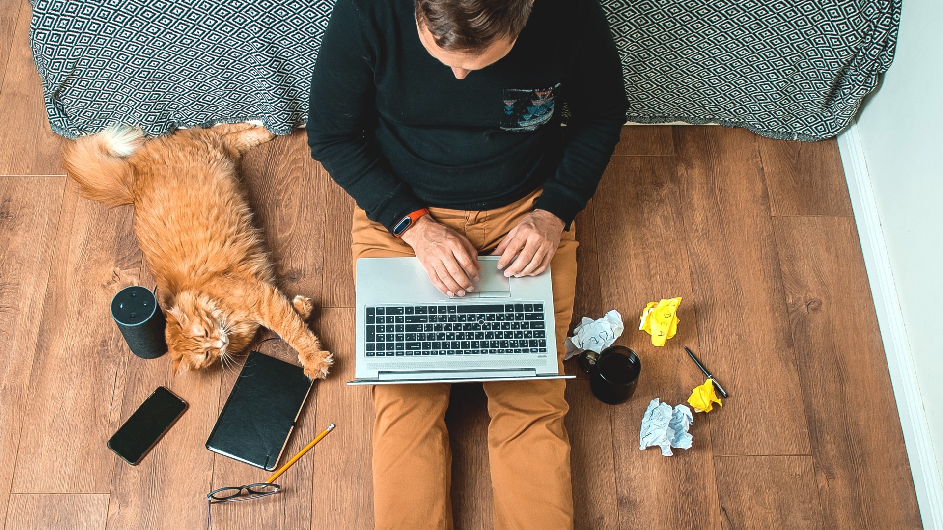 Alexa fake news teorie spiskowe