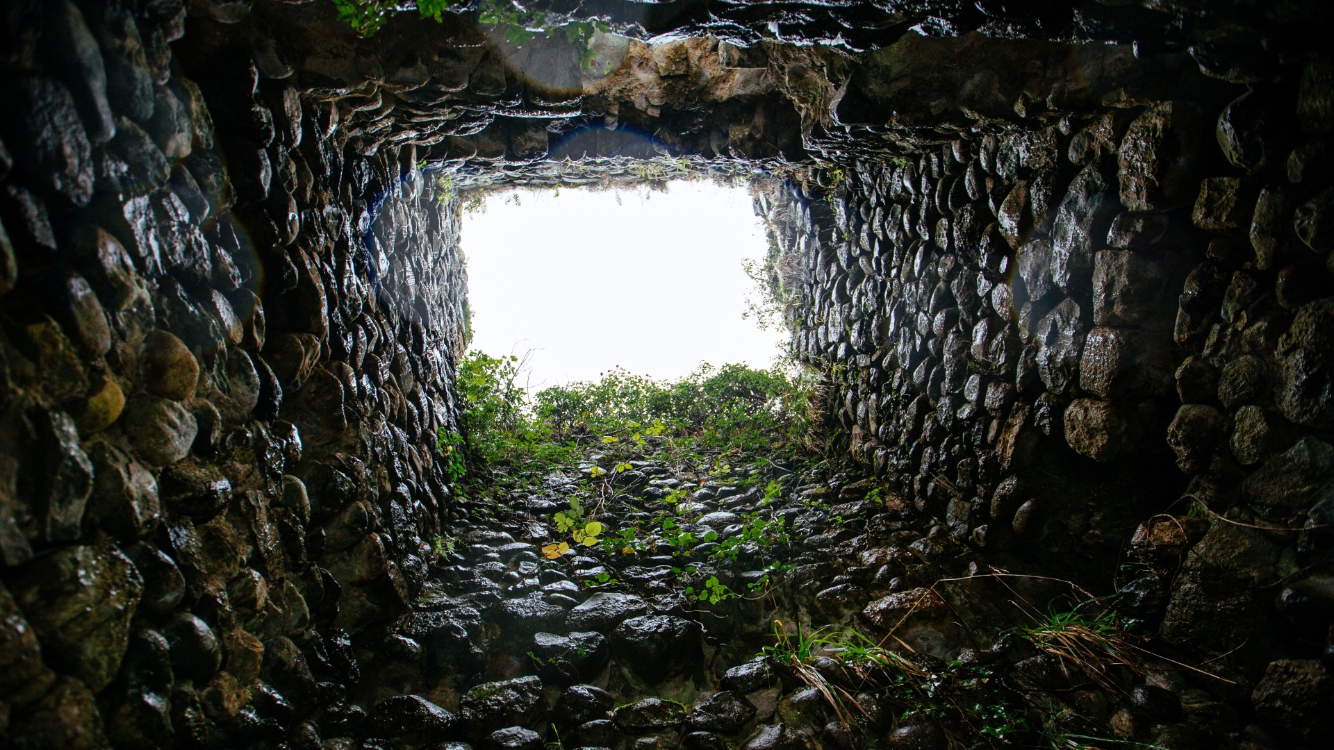 Ponad 800 lat temu wrzucili go do studni. Legendarny trup został wyciągnięty