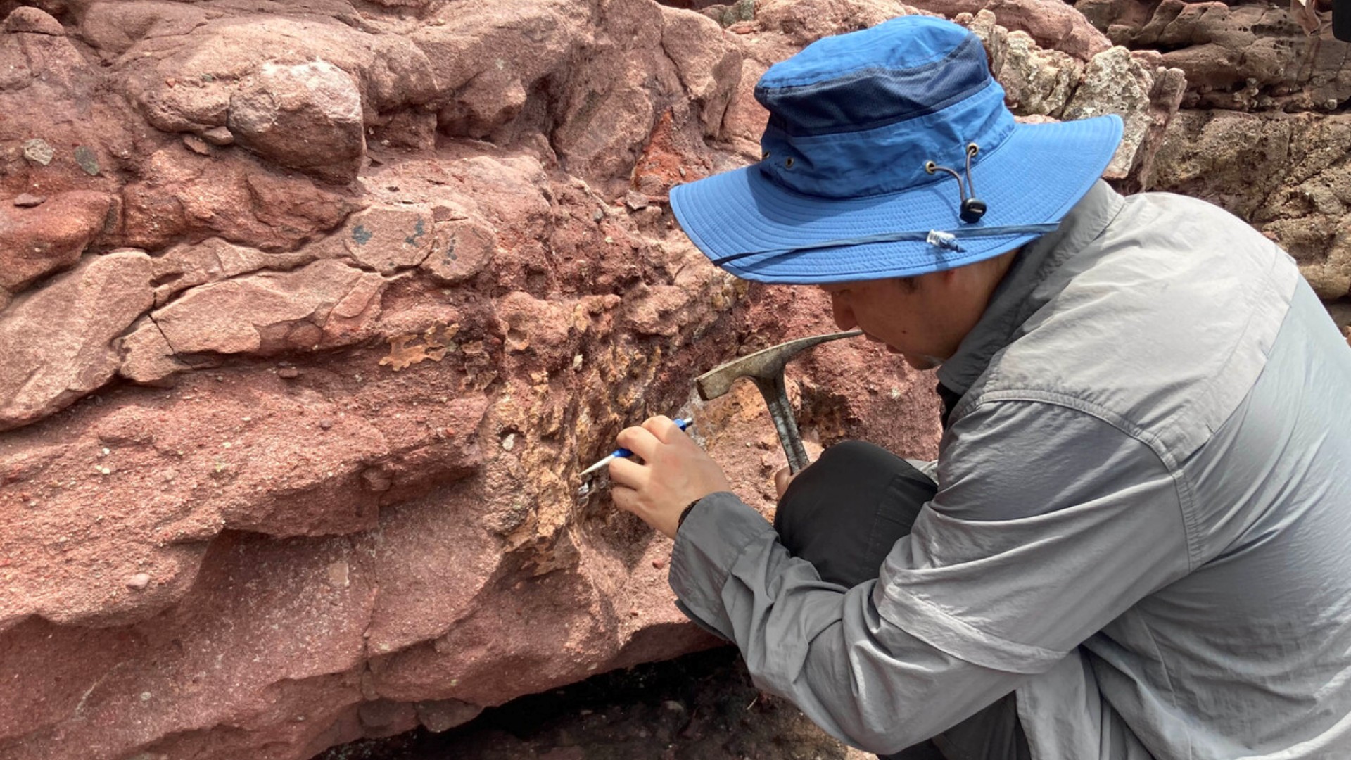 Hongkong pierwsze kości dinozaura