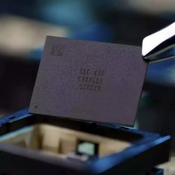 Koreans speak bluntly. The crisis will last until 2030