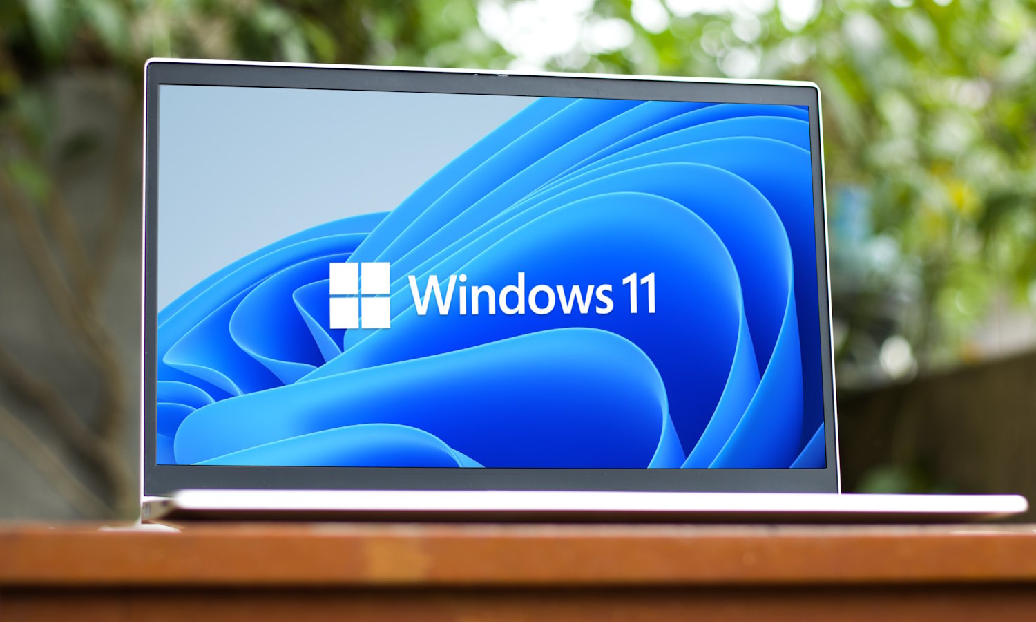 You won't turn off your computer. Windows 11 has gone crazy