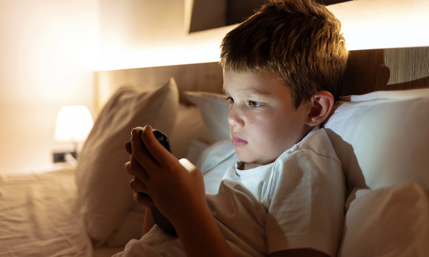 Age verification online? Already at the operating system level