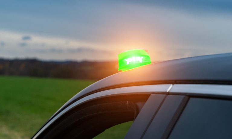 Green roosters in private cars will go to the President’s desk