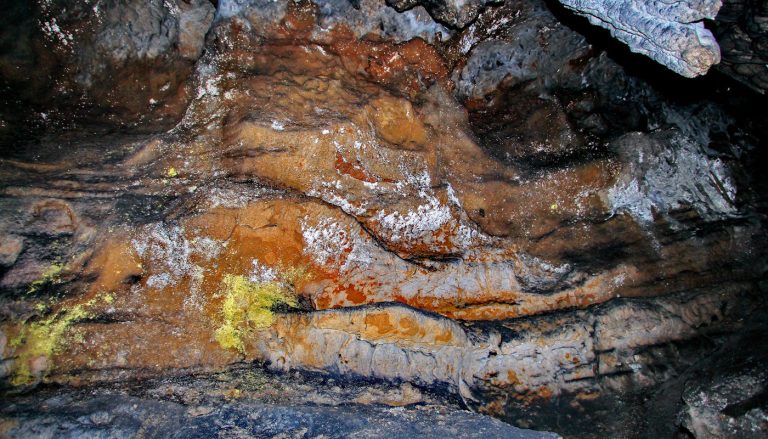 They have been living in caves for 5,000 years. And they are resistant to antibiotics