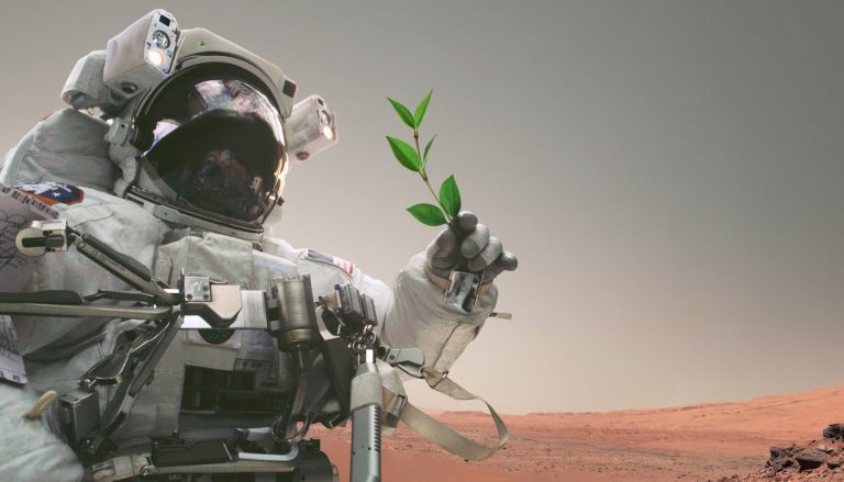 Can life arise on Mars? Interesting research results