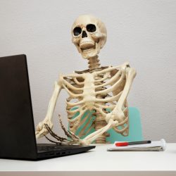 That’s for sure. The dead internet theory will come true by 2027