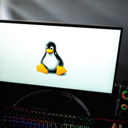 Linux’s biggest flaw is becoming a thing of the past. Players will be delighted