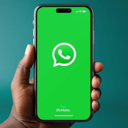 Paid WhatsApp is already available. We know what it gives and how much it costs