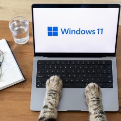 Microsoft will speed up Windows for you. He has a solution