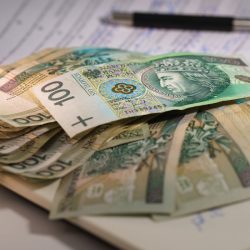 The tax office will provide Poles with a new job. They will benefit from being outspoken