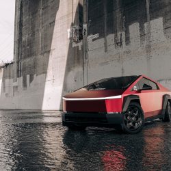 They drove their car into the lake. They thought he would swim
