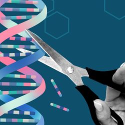 Human gene editing has become a fact. This is supposed to help eliminate diseases