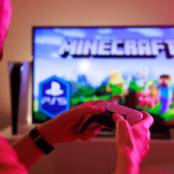 Surprise in Auchan. The network joins forces with Minecraft
