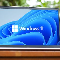 Update Windows 11. The system has sped up