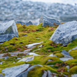 When this melts, CO2 will rise. This will accelerate global warming