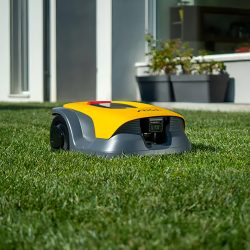 Which mowing robot should you choose? Not everyone knows about this rule
