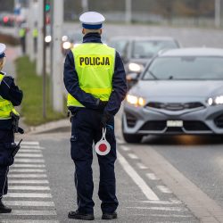 The 17-year-old received his driving license. The police took the document away after a few hours