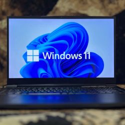 Don’t update Windows 11. Your mouse will go crazy and it’s not a joke