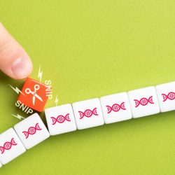 A breakthrough in genetics. We will soon have a new DNA editing tool