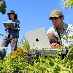 Apple M6 processors now available in MacBook Pro 14″ and iMac