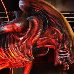Alien: the topic of a new movie has started. This announcement says a lot