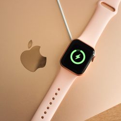 Original Apple charger for the trash. It will only work in one country