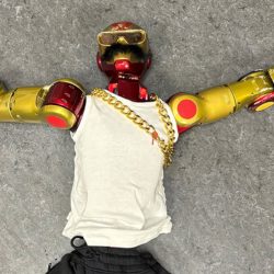 Two Germans molested a teenager with a robot